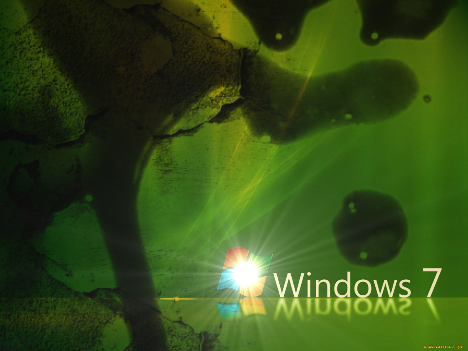 , windows, vienna, 7
